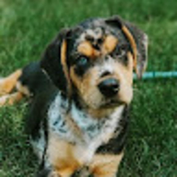 Meet your Posher, Stacey - Picture 1 of 1